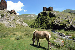 tusheti